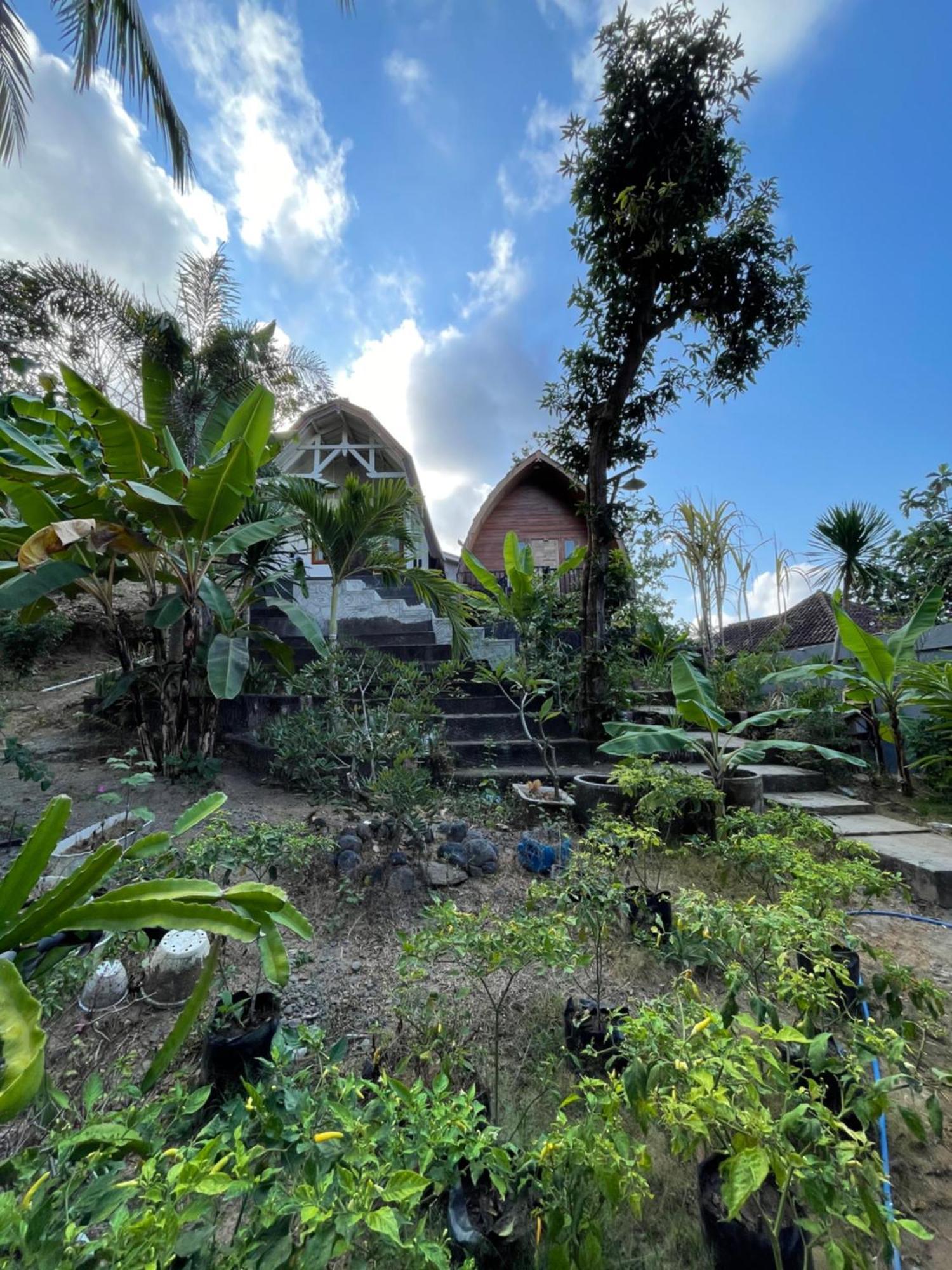 Tri Putri Homestay Kuta  Exterior photo