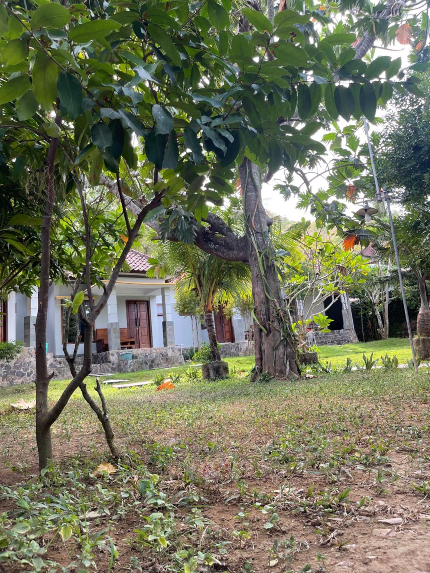 Tri Putri Homestay Kuta  Exterior photo
